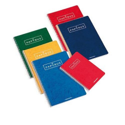 Pack de 4 cuadernos PAPYRUS con cubierta dura tamaño Folio con cuadricula de 4 mm.