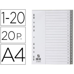 Separadores numéricos 20 posiciones color gris con caratula como índice