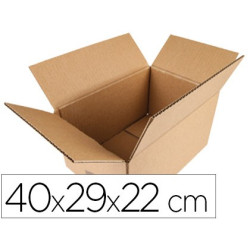 10 Cajas de cartón de 400 X 290 X 220 mm.